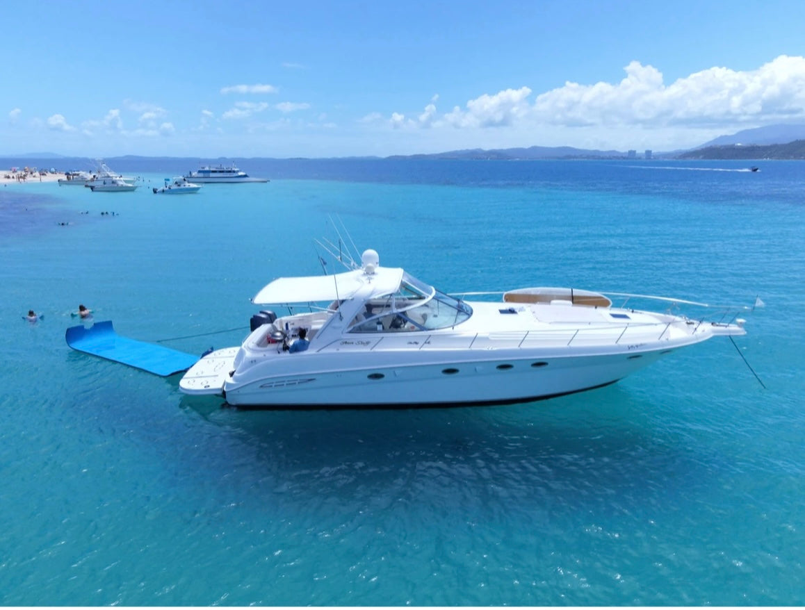 46' SeaRay (12 passengers max)