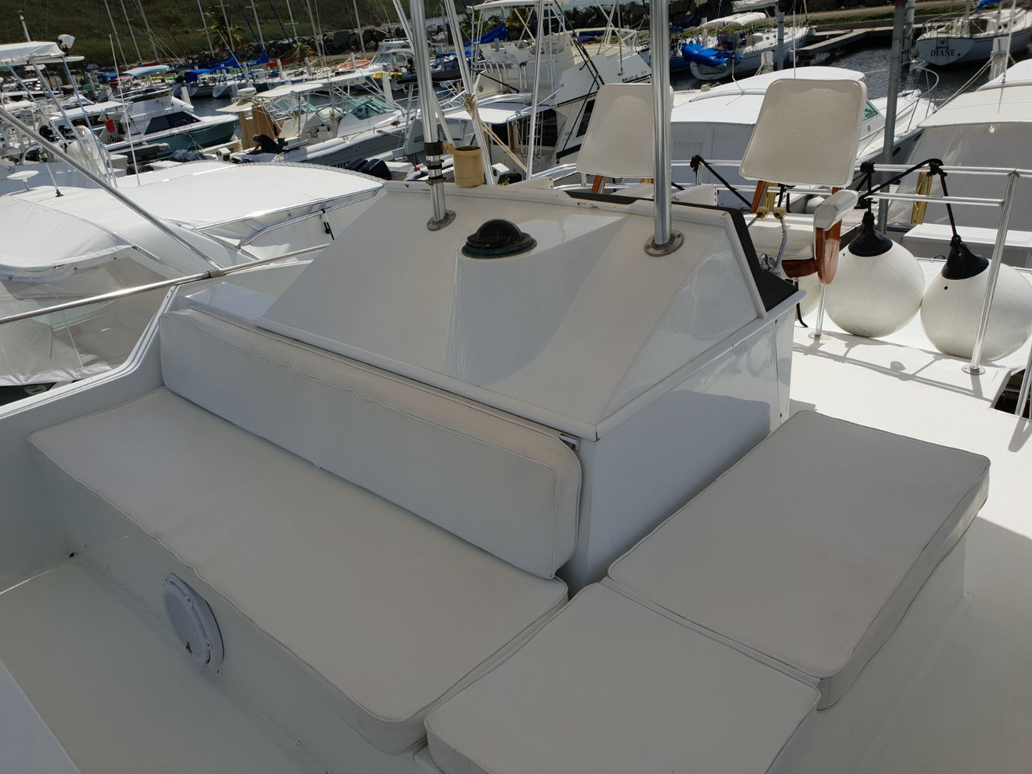 48' Chris Craft (12 passengers max)