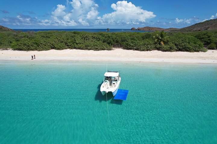 30' Manta Power Cat (6 passengers max)