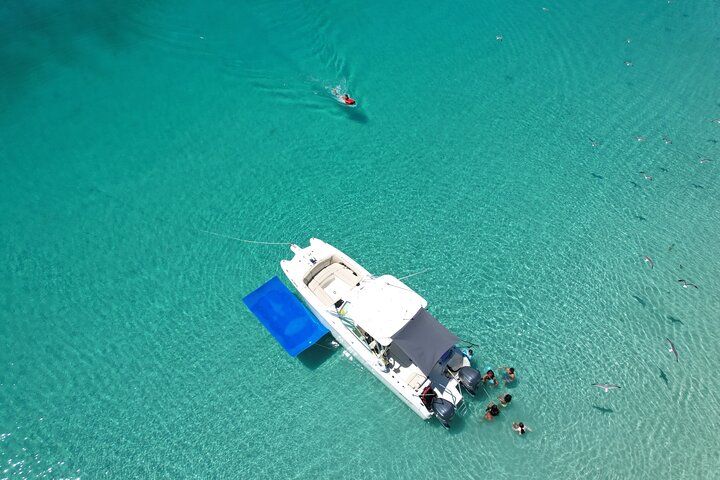 30' Manta Power Cat (6 passengers max)