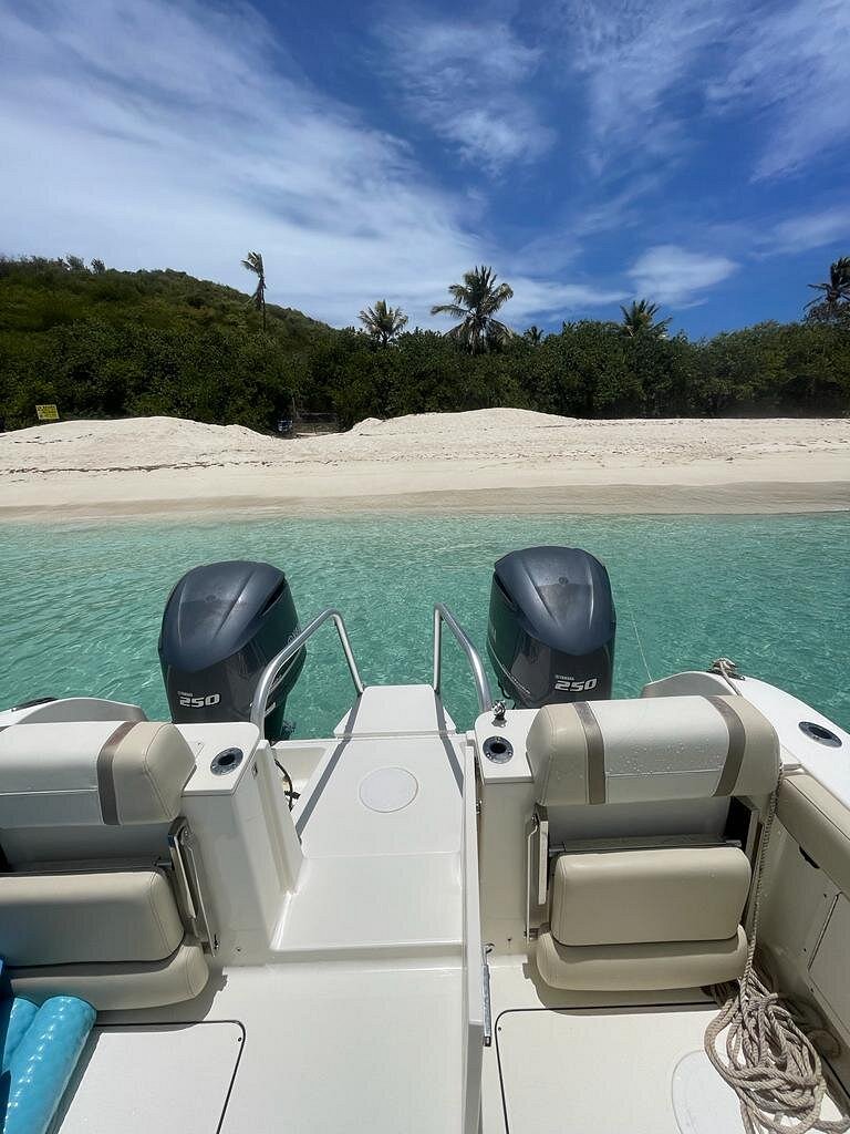 30' Manta Power Cat (6 passengers max)