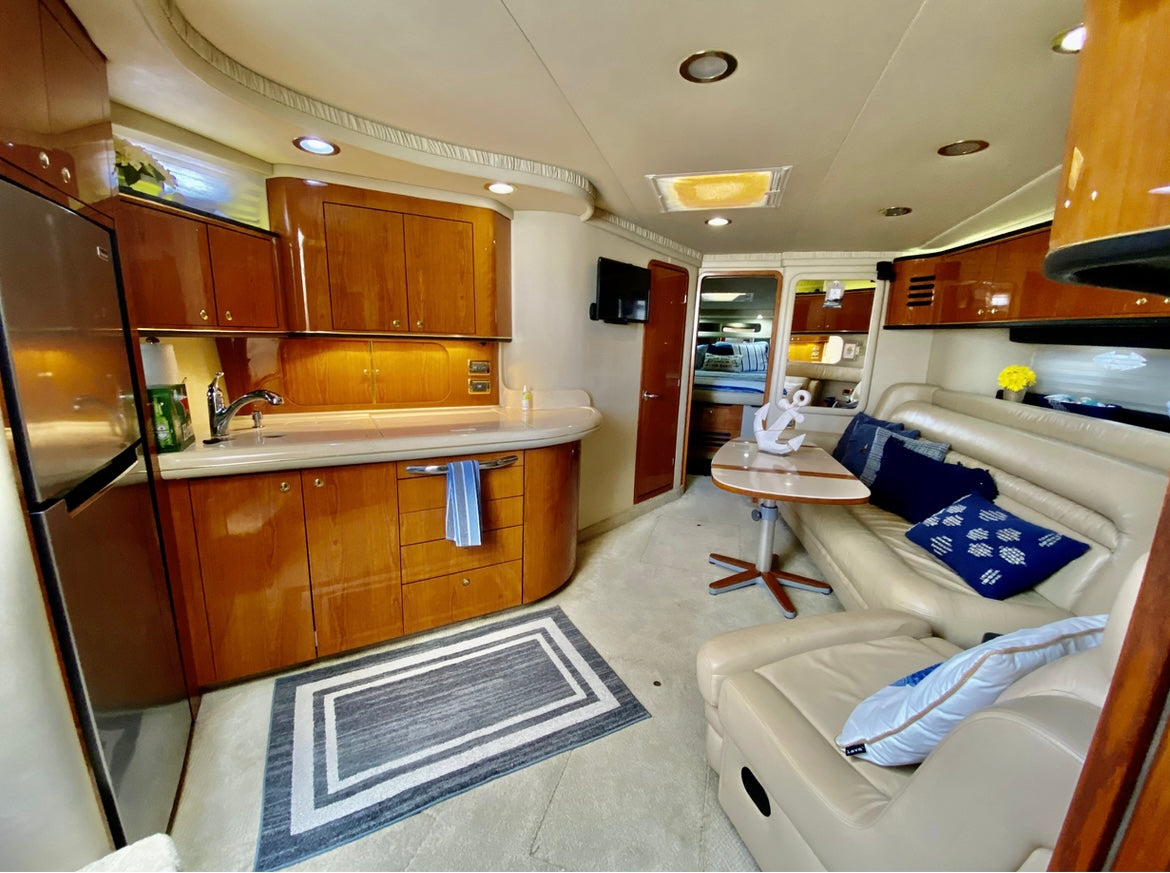 46' SeaRay (12 passengers max)