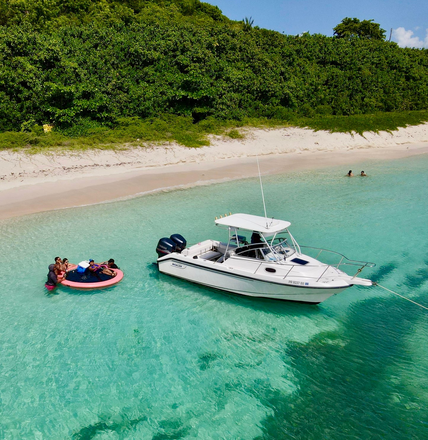 24' Boston Whaler 5-7 hours (6 passengers max)