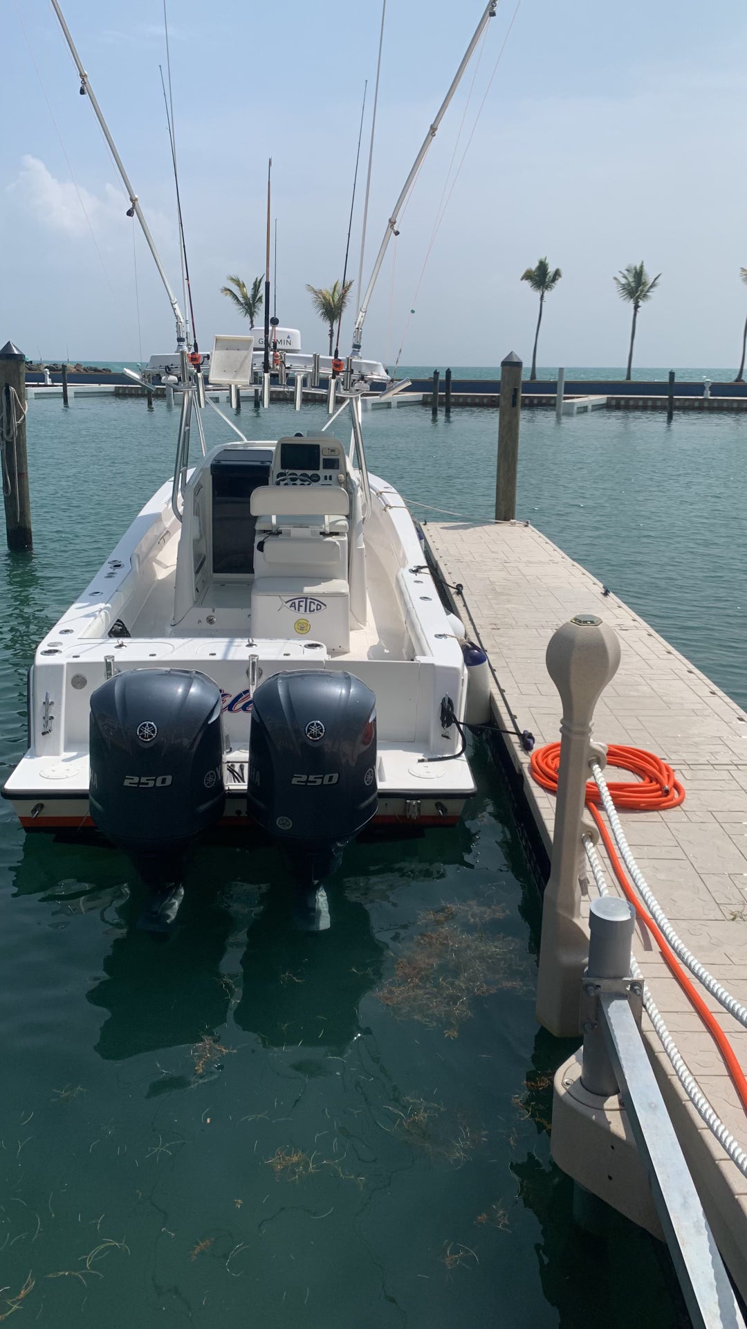 31' Contender Fishing Charter (6 passengers max)