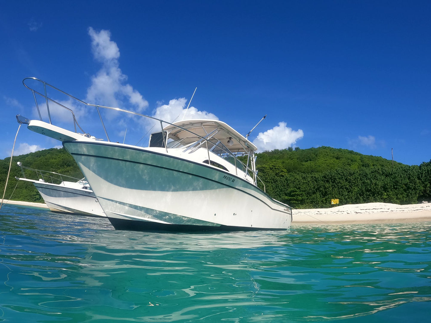 30' Marlin (6 passengers max)