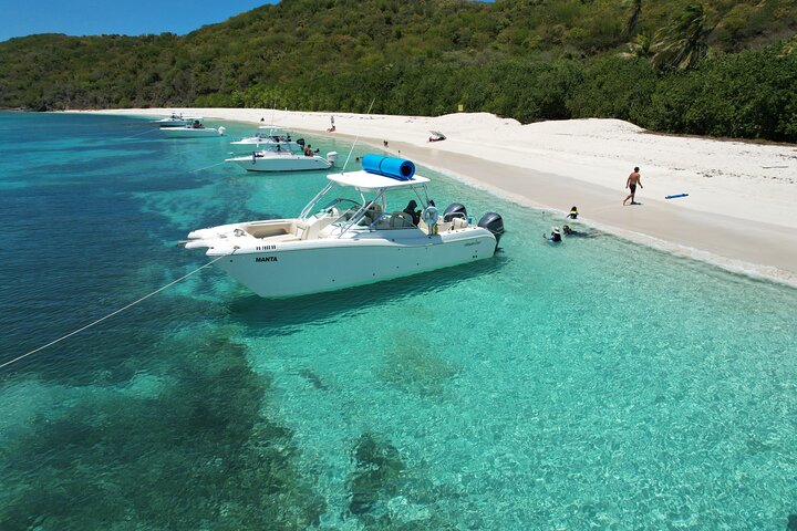 30' Manta Power Cat (6 passengers max)