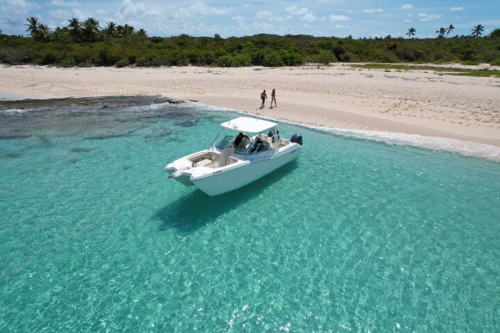 30' Manta Power Cat (6 passengers max)