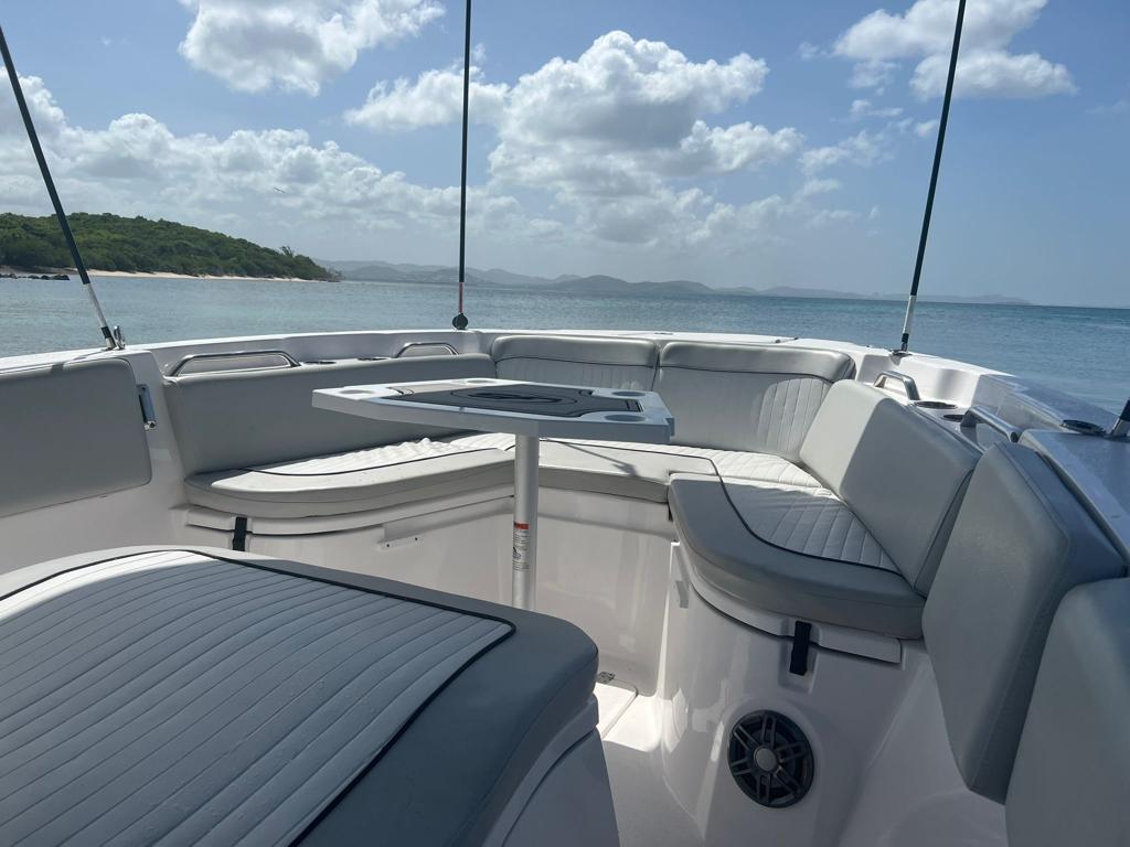 26' Seafox (6 passengers max)