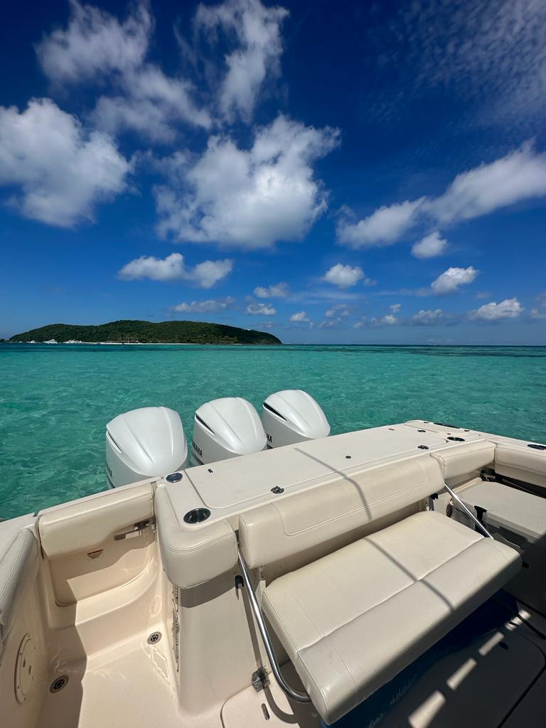 33' Grady White 4-6 hours (8 passengers max)