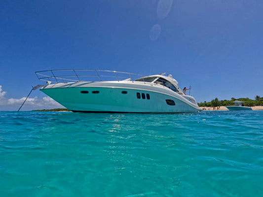 55' SeaRay (12 passengers max)