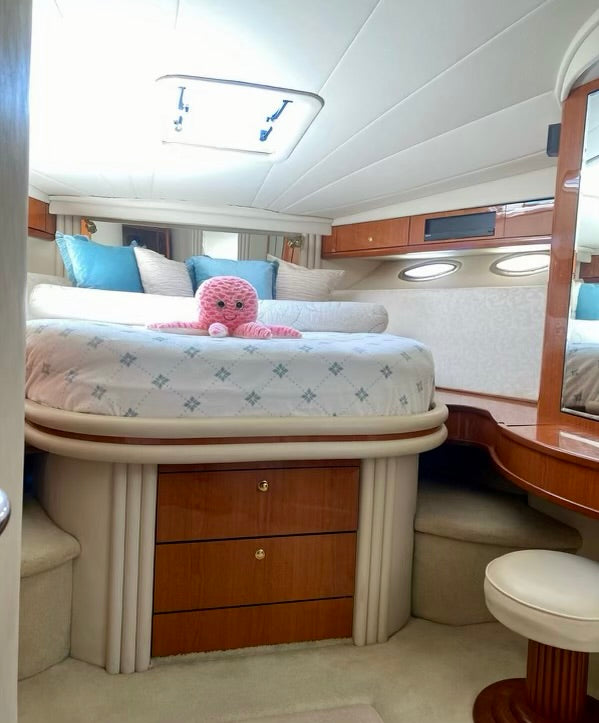 51' SeaRay (12 passengers max)