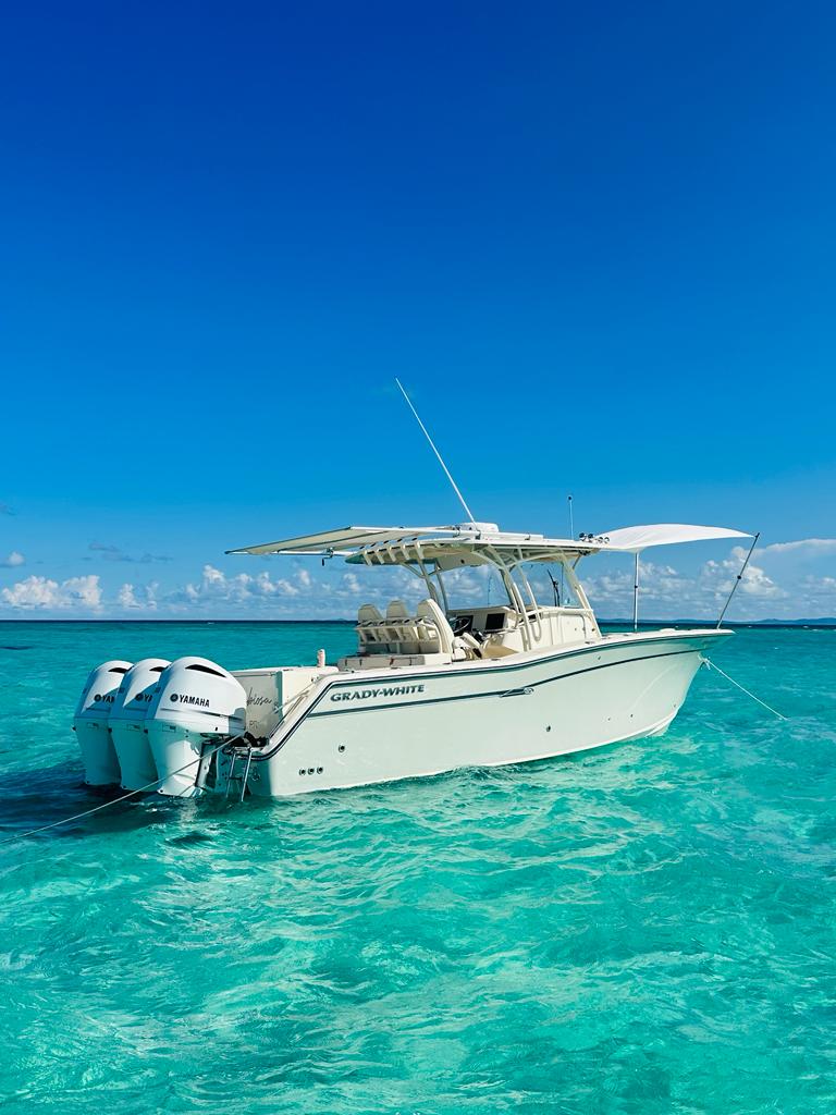 33' Grady White 4-6 hours (8 passengers max)