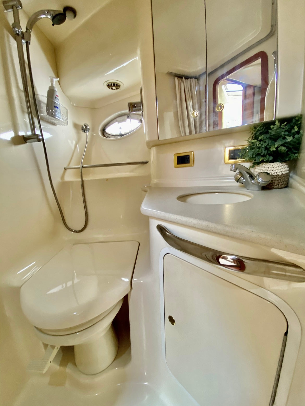 46' SeaRay (12 passengers max)