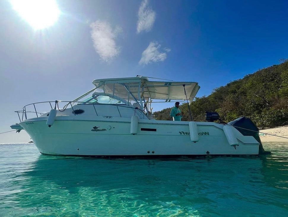 30' Wellcraft 4-6 hours (6-8 passengers max)