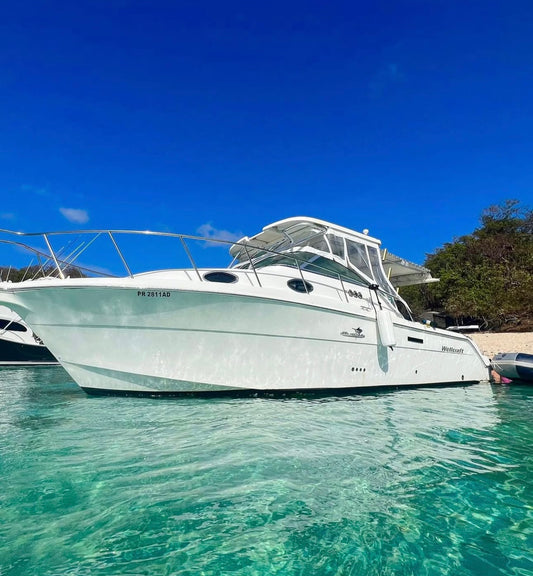 30' Wellcraft  (8 passengers max)