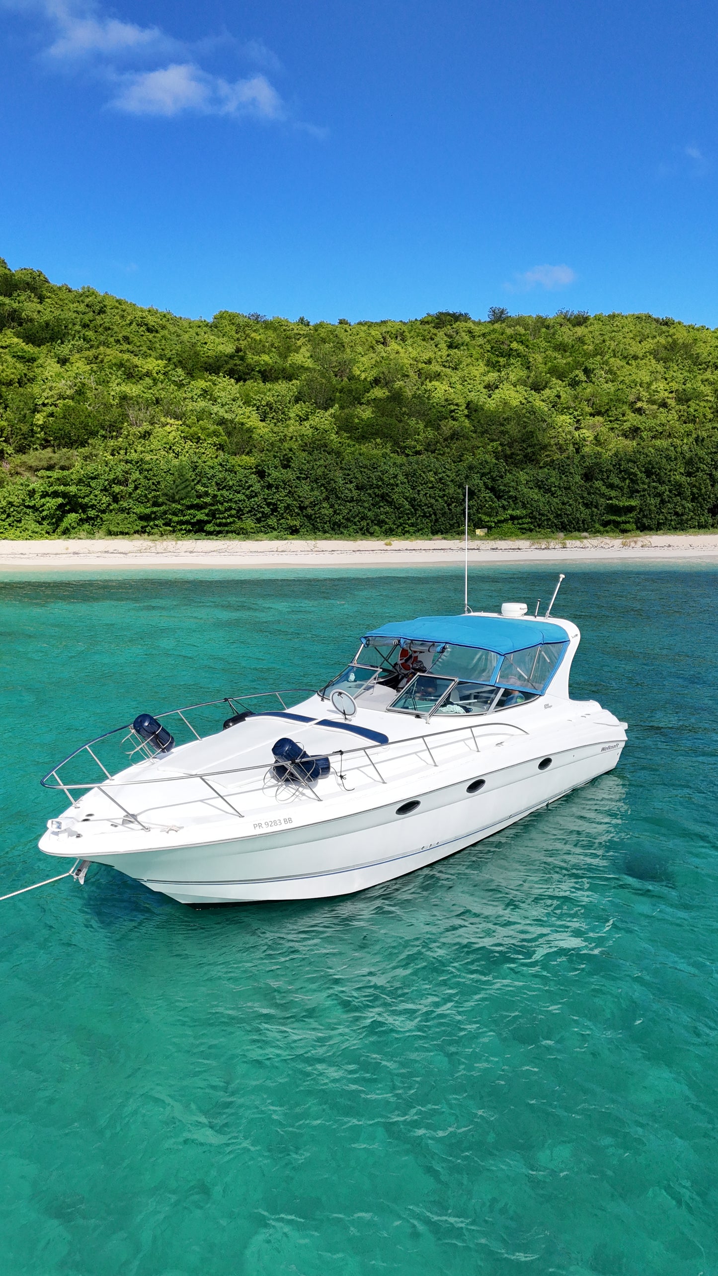 40' Wellcraft (10 passengers max)
