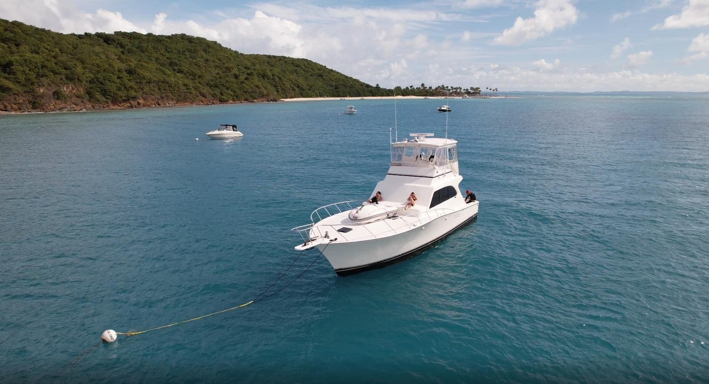 46' Post Sportfish (Palmas Del Mar) (12 passengers max)