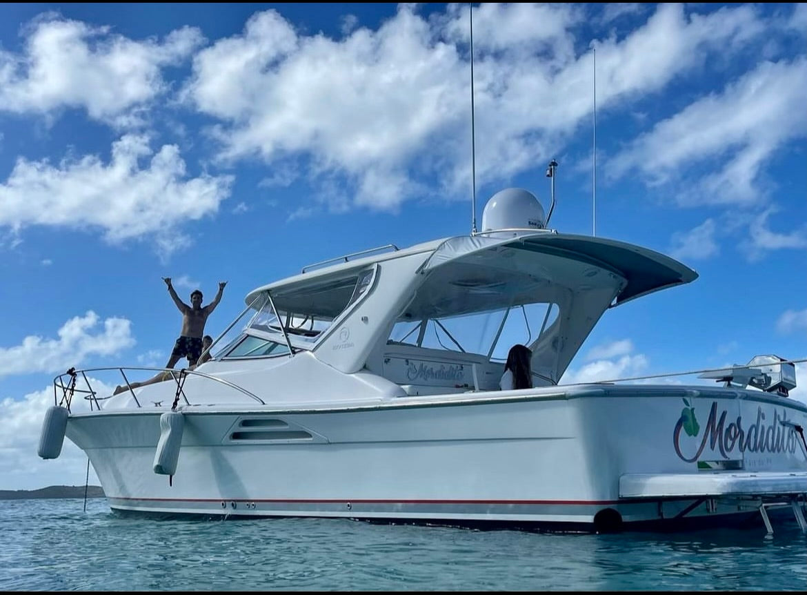 40' Rivera 4-6 hrs (12 passengers max)