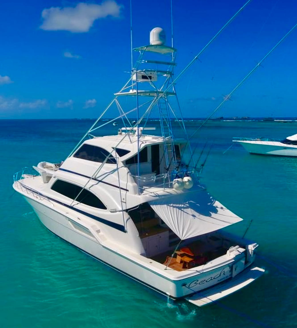 70' Bertram (12 passengers max)