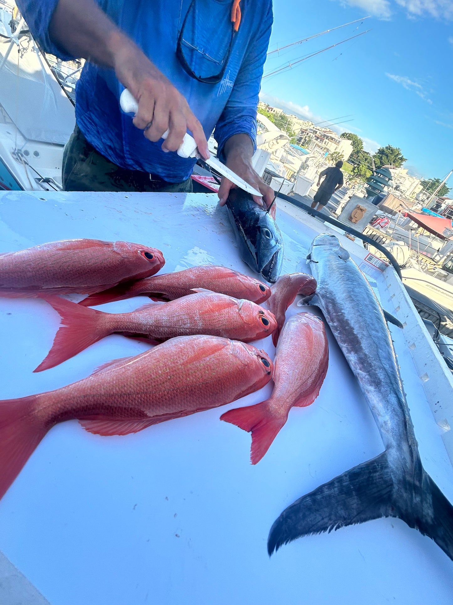 31' Contender Fishing Charter (6 passengers max)