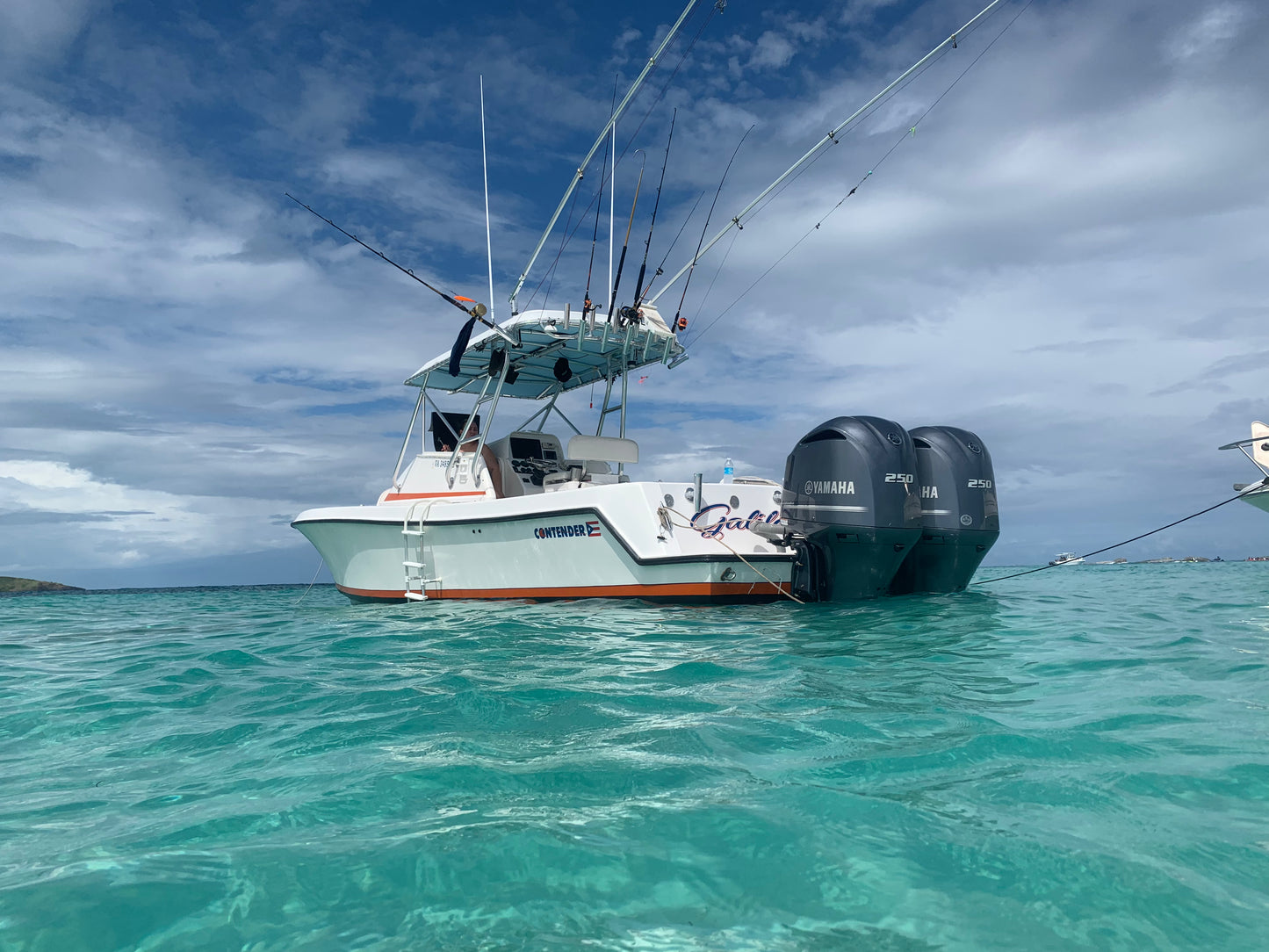 31' Contender Fishing Charter (6 passengers max)