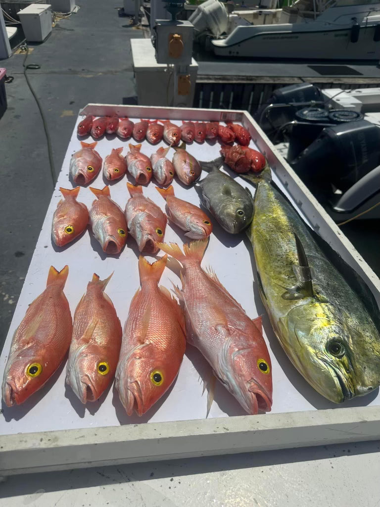 31' Contender Fishing Charter (6 passengers max)