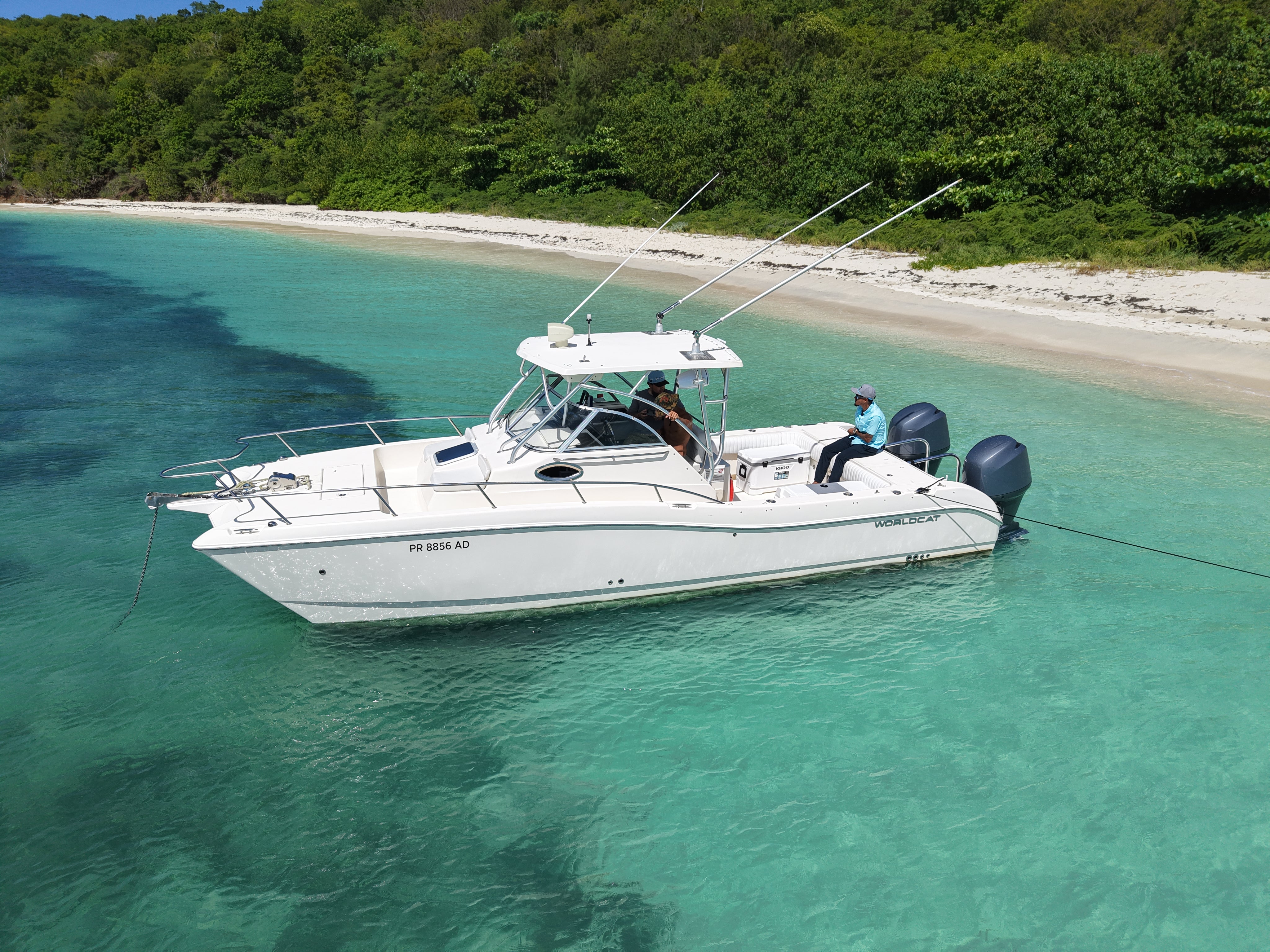 【AOR】 SEA LEVEL Cat's on the Coast 26' World Cat (6 Passenger Max) – puertoricoboatcharters