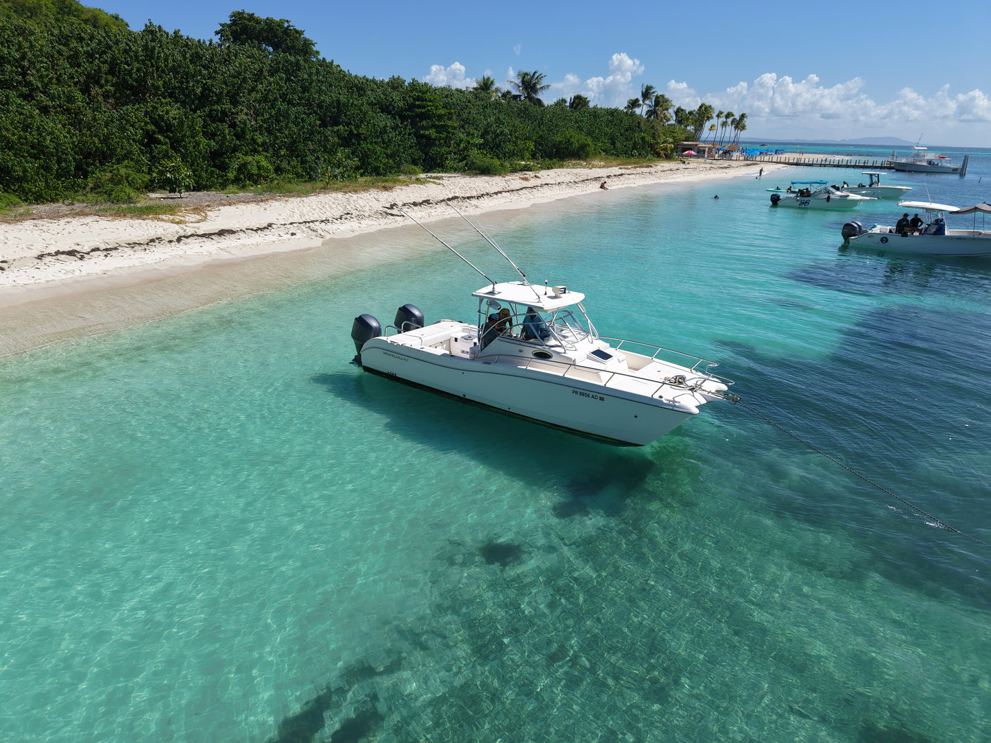 26' World Cat (6 Passenger Max)