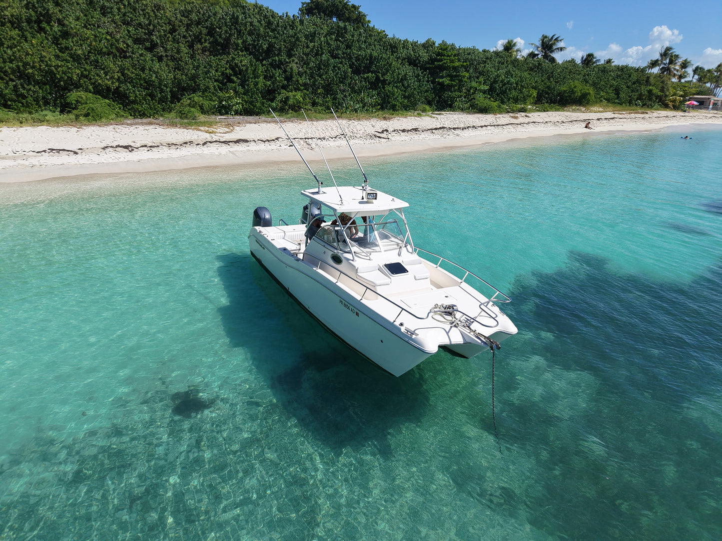 26' World Cat (6 Passenger Max)