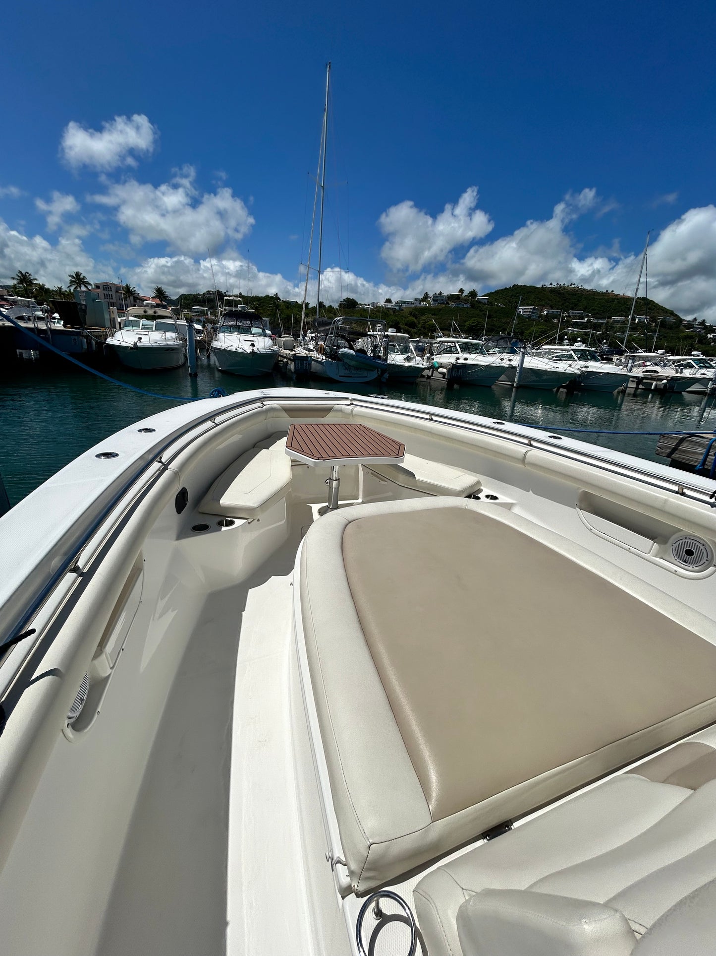 37' Boston Whaler (12 passengers max)