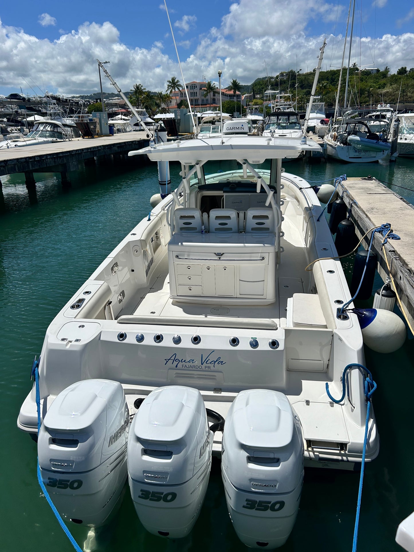 37' Boston Whaler (12 passengers max)