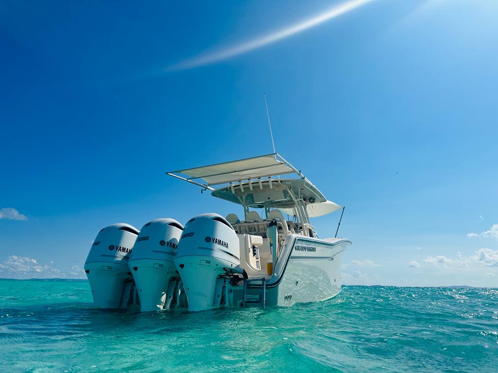 33' Grady White 4-6 hours (8 passengers max)