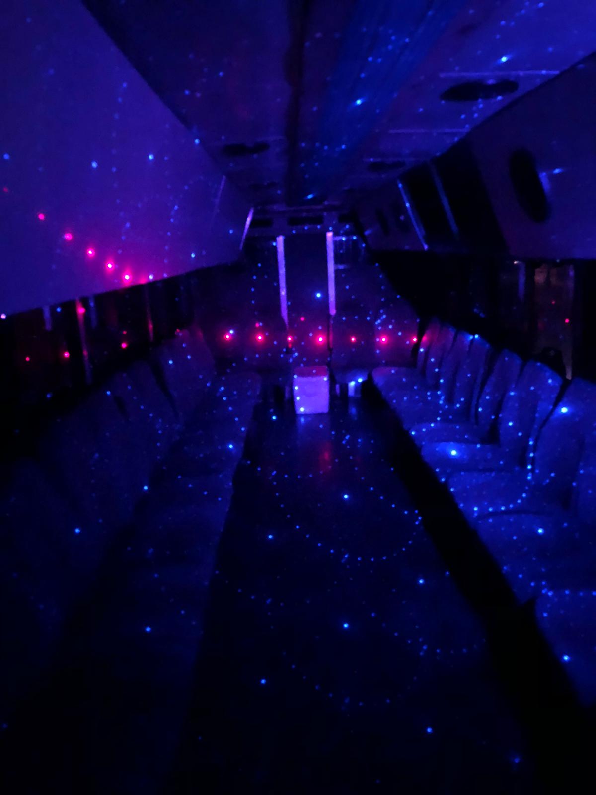 Blue Bird Party Bus