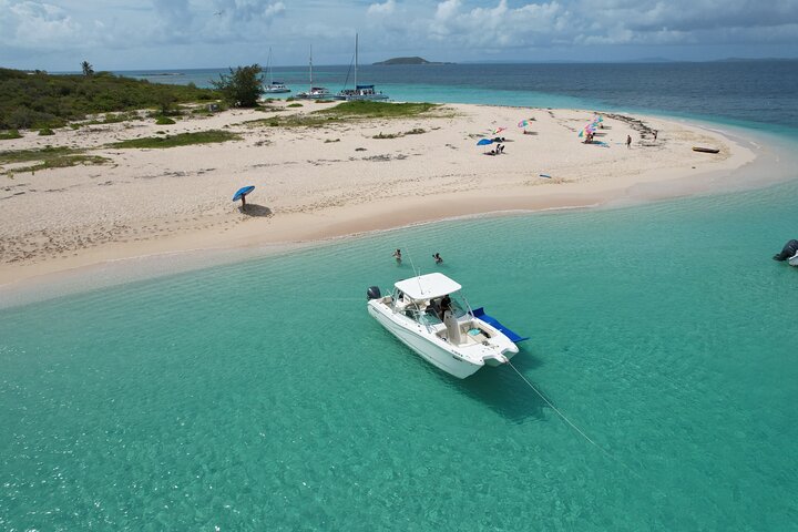 30' Manta Power Cat Boat Charter