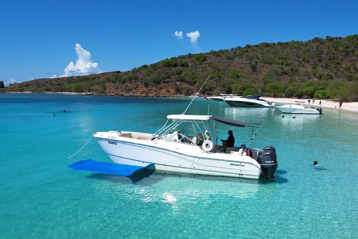 30' Manta Power Cat Boat Charter