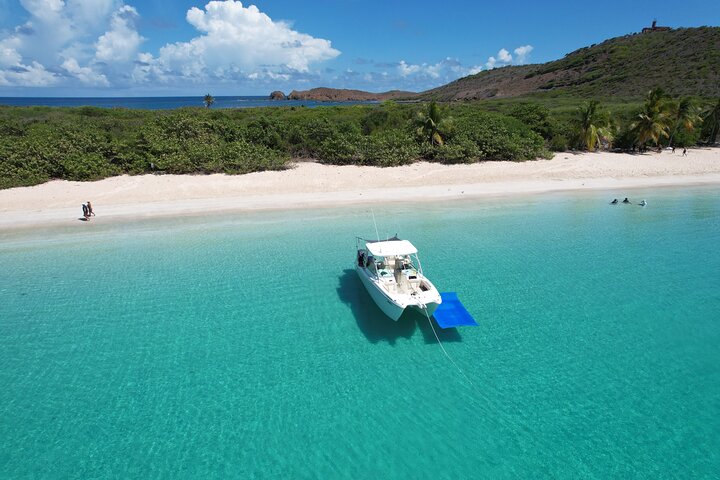 30' Manta Power Cat Boat Charter