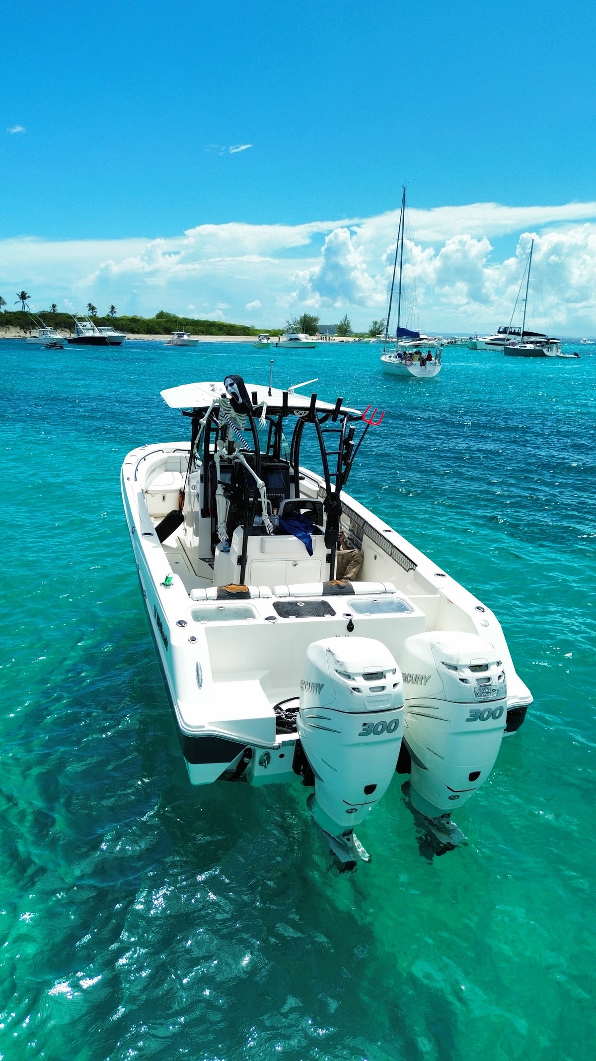 33' Scarab (10 passengers max)