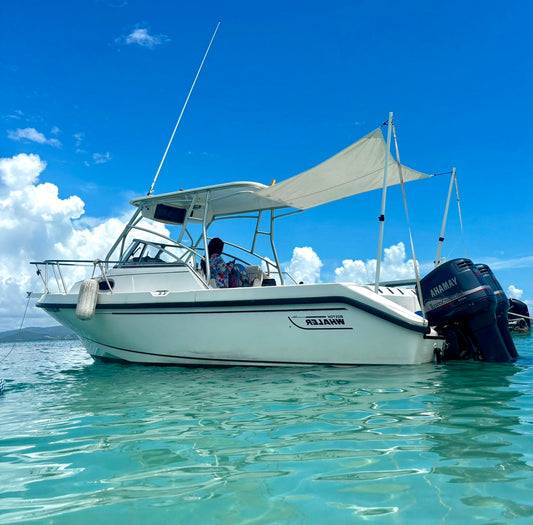 24' Boston Whaler 5-7 hours (6 passengers max)