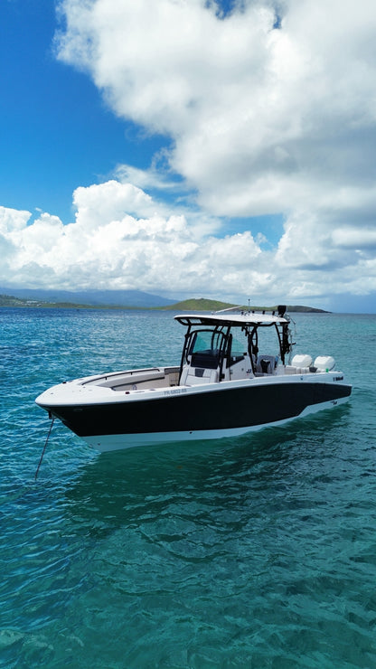 33' Scarab (10 passengers max)