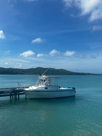 24' Boston Whaler 5-7 hours (6 passengers max)