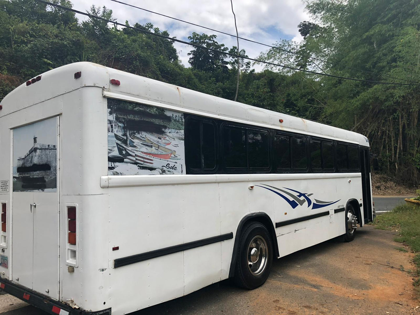 Blue Bird Party Bus