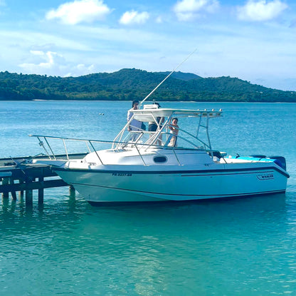 24' Boston Whaler 5-7 hours (6 passengers max)