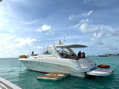 46' SeaRay Yacht Charter