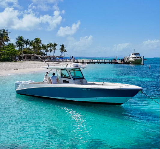 37' Boston Whaler (10 passengers max)
