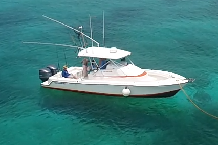 31' Contender Fishing Charter (6 passengers max)