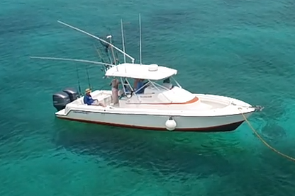 31' Contender Fishing Charter (6 passengers max)