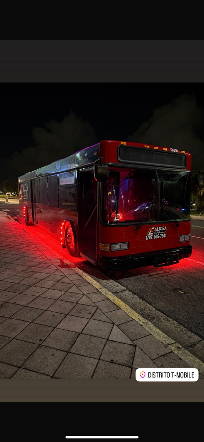 VIP Party Bus (30 passengers)