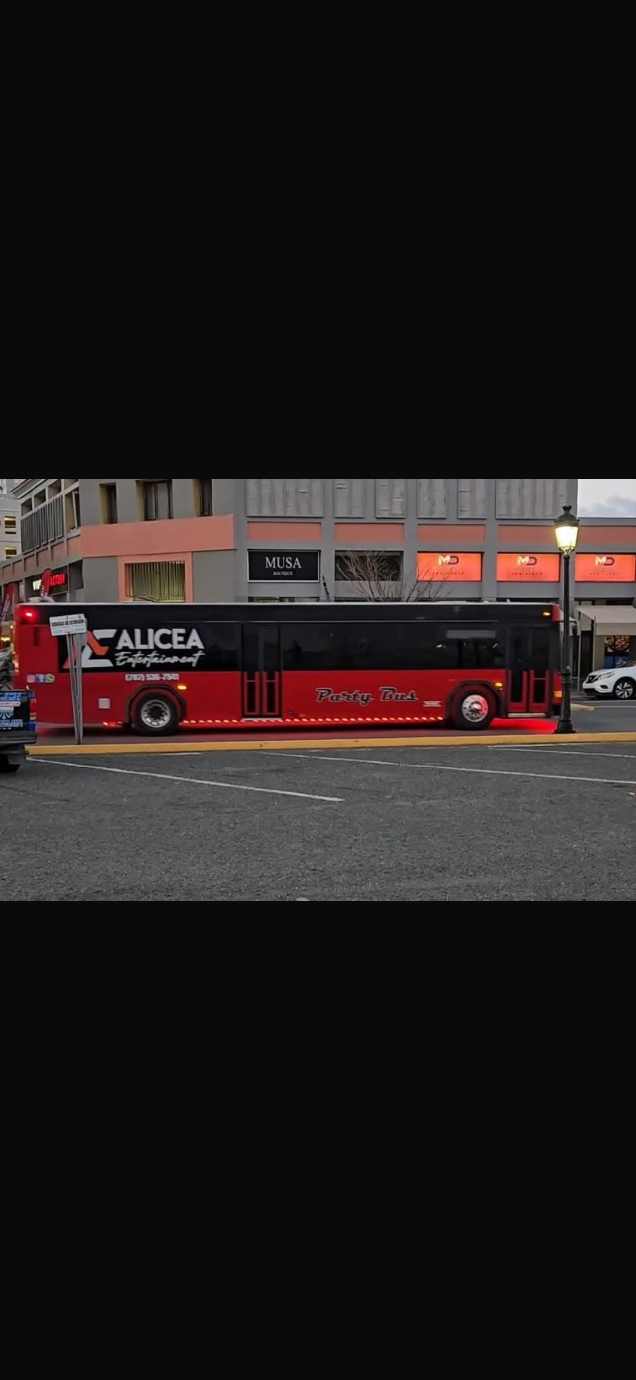 VIP Party Bus (30 passengers)