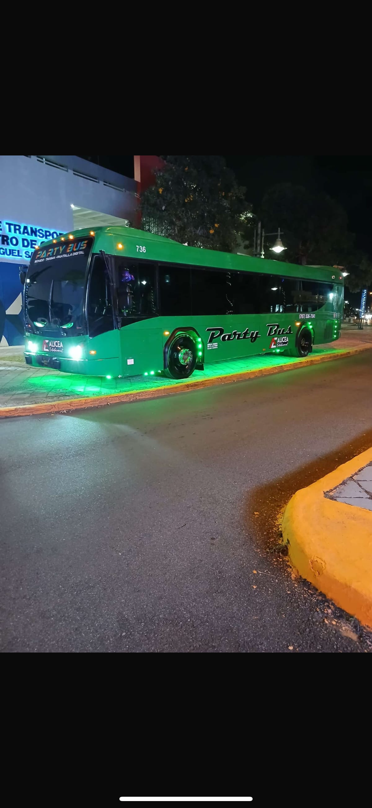 VIP Party Bus (30 passengers)