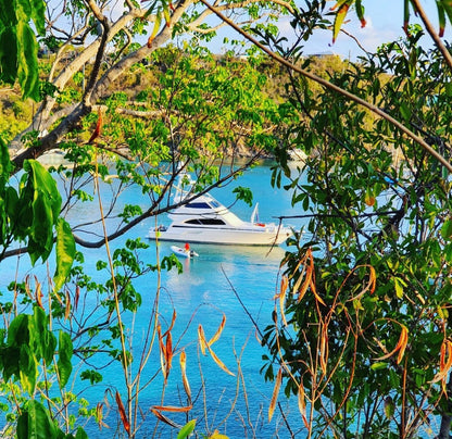 70' Bertram Yacht Charter